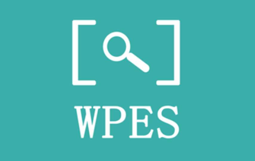 WP extended search 增强搜索功能 WordPress插件