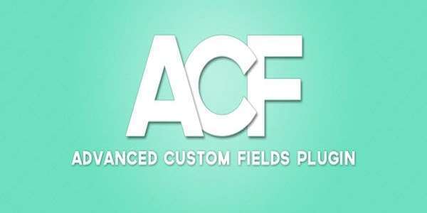 dvanced Custom Fields Pro 自定义文章字段 wordpress插件