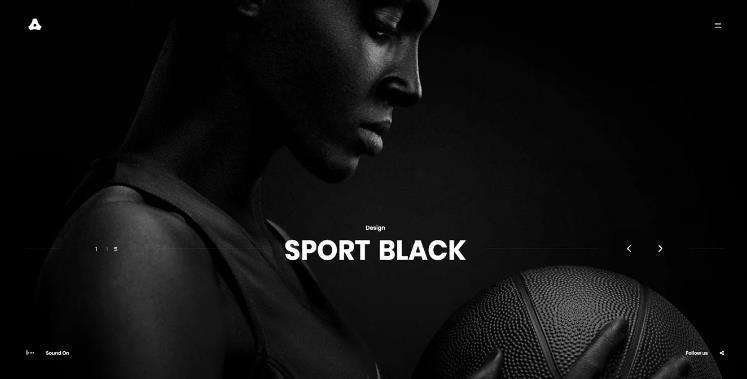 摄影产品展示网站DedeCMS织梦模板