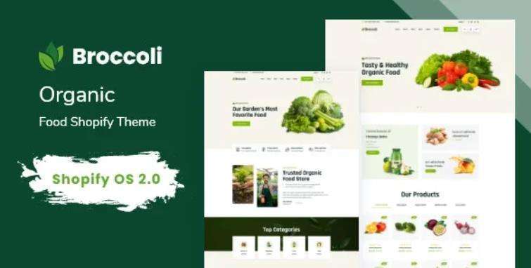 Broccoli – 有机食品商店网站模板Shopify主题