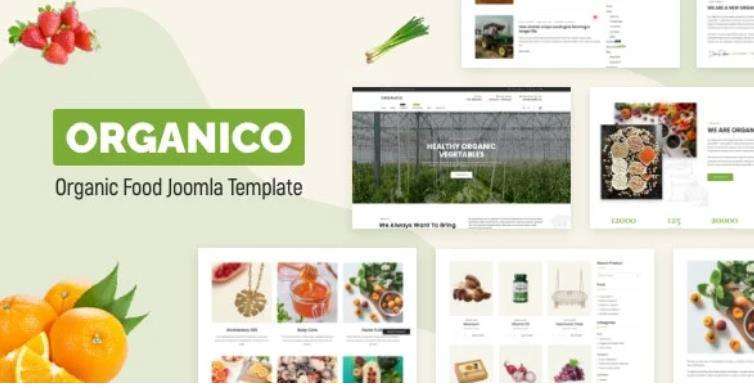 Organico – 营养健康绿色食品农场Joomla 4模板