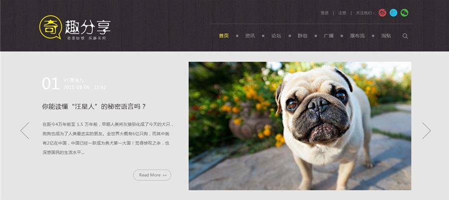 奇趣分享综合趣事百科文章类型discuz模板