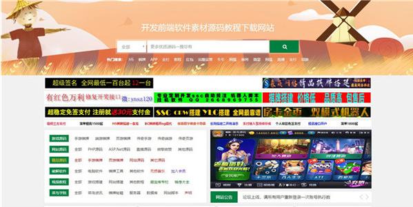新织梦CMS精仿菜鸟源码网站模板 自适应手机端