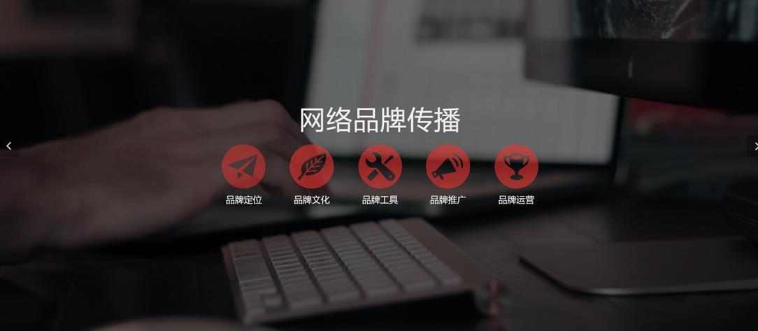 html5响应式网站建设网络类织梦模板