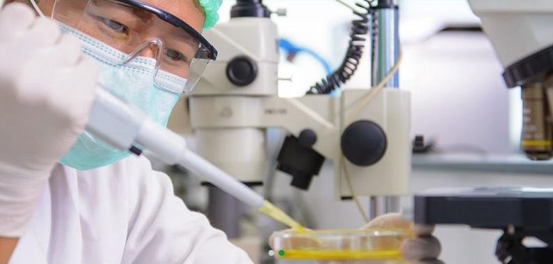 响应式化工燃料类织梦模板下载