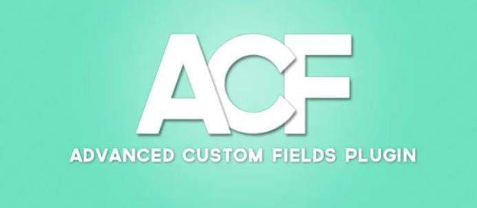 Advanced Custom Fields Pro – 高级自定义字段专业版WordPress插件 – v6.0.2