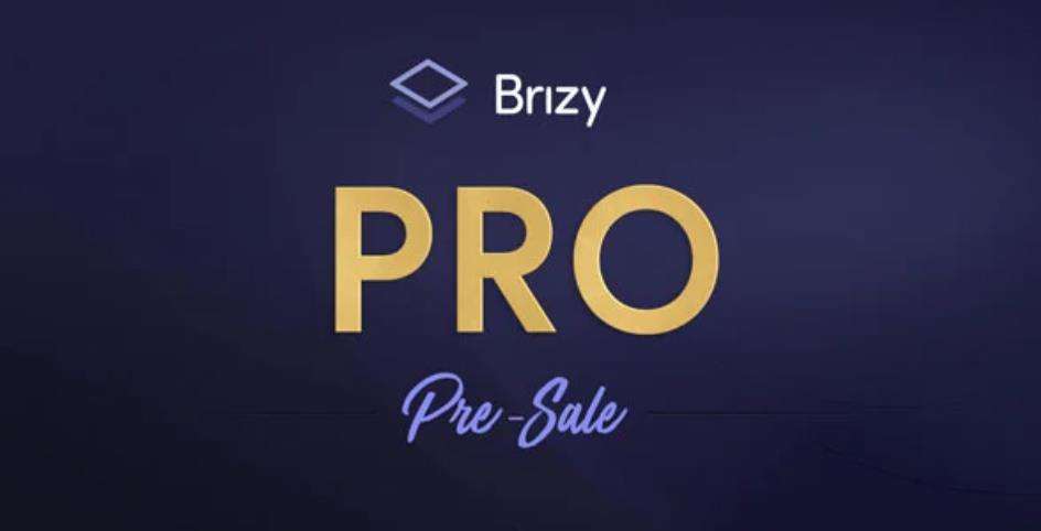 Brizy Pro – WordPress 多功能构建编辑器插件 – v2.4.7
