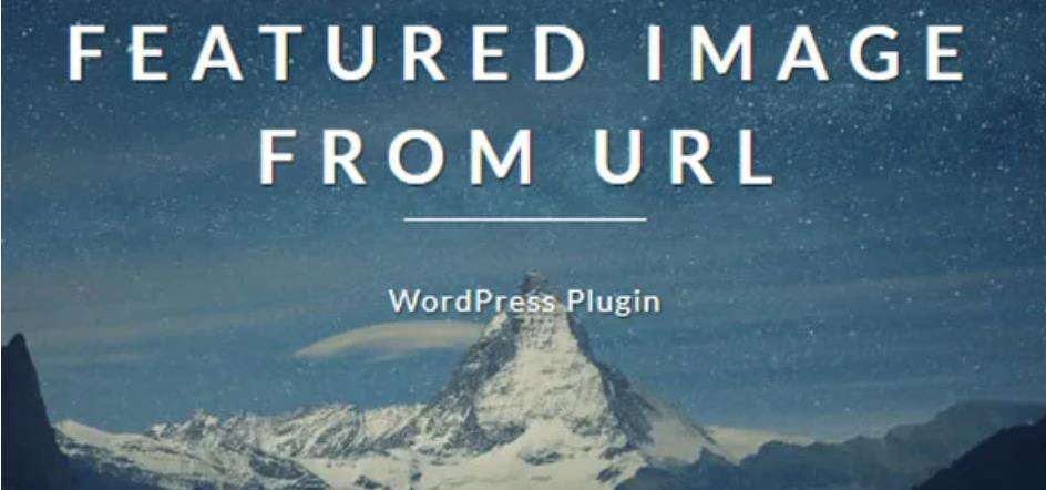 Featured Image from URL Premium – 特色图像外链插件 – v5.8.4