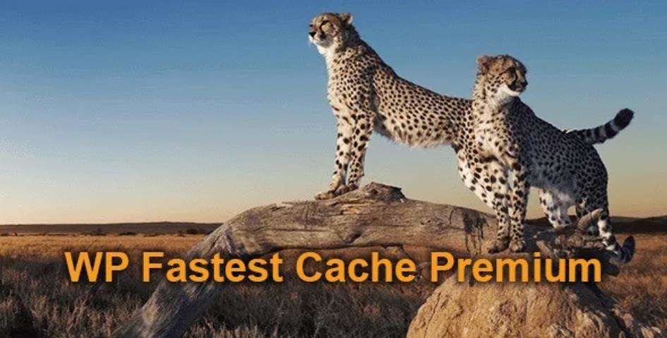 WP Fastest Cache Premium 快速缓存WordPress插件 – v1.6.5