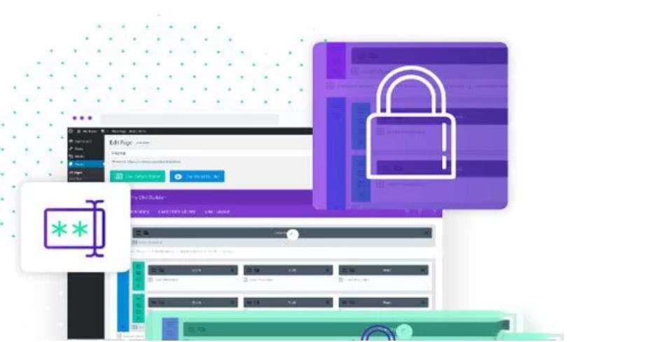 Divi Protect – 密码保护内容插件 – v2.2.7