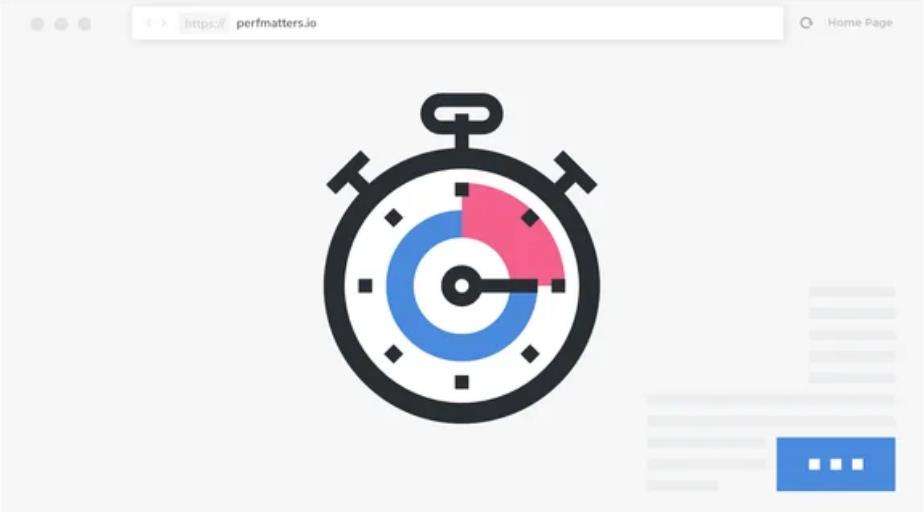 Perfmatters – 轻量级性能优化加速插件 – v1.9.9