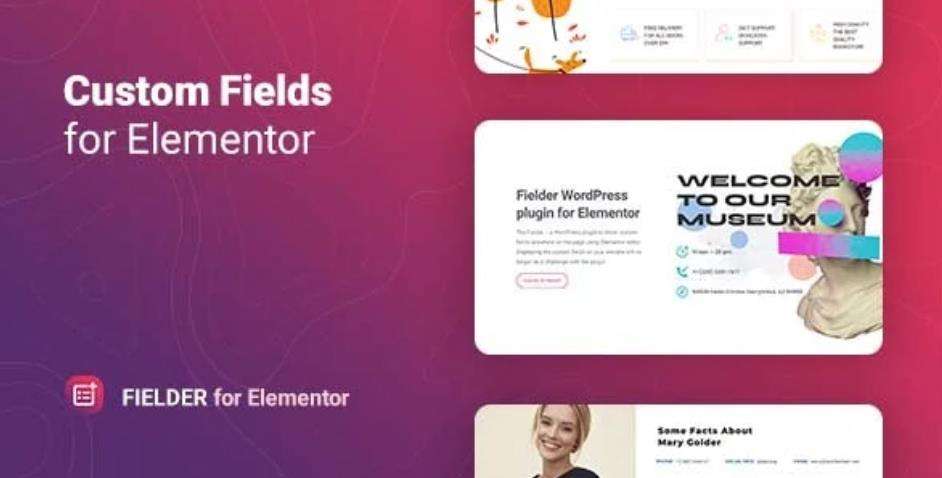 Fielder – Elementor 开始编辑器自定义字段 WordPress 插件 – v1.0.1