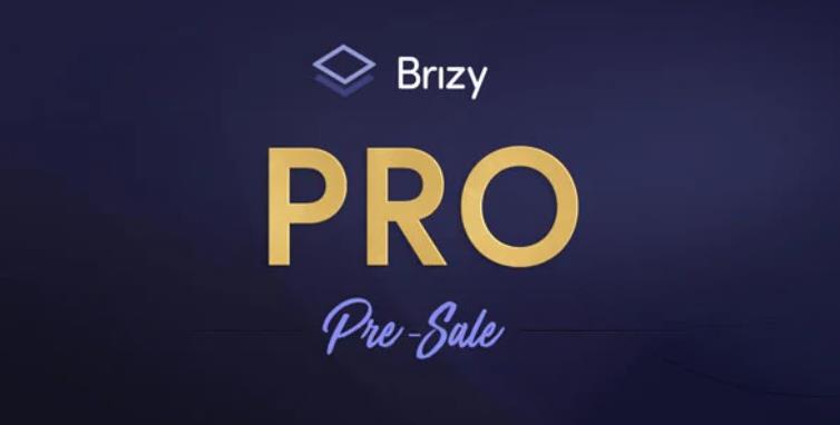 Brizy Pro – WordPress 多功能构建编辑器插件 – v2.4.10