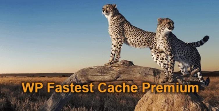 WP Fastest Cache Premium 快速缓存WordPress插件 – v1.6.6