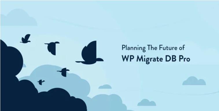 WP Migrate DB Pro + WordPress网站迁移拷贝插件 – v2.3.4