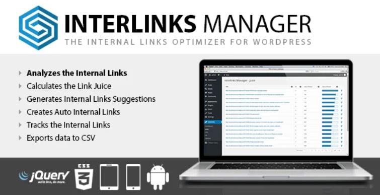 Interlinks Manager 链接管理插件 – v1.30