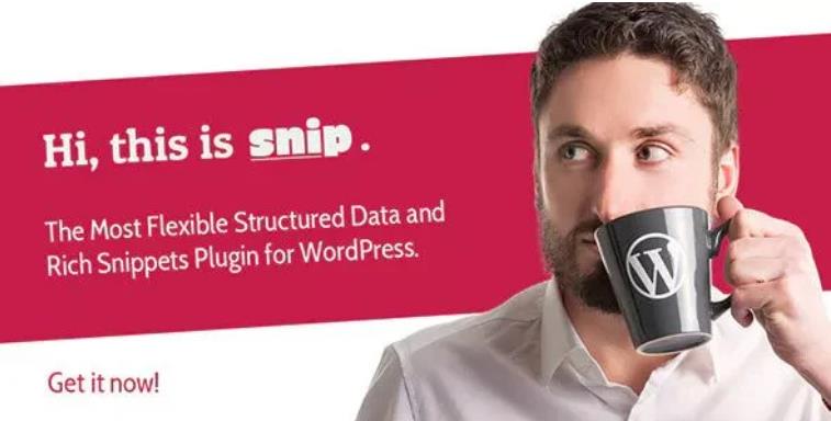 SNIP – 结构化数据WordPress插件 – v2.29.0