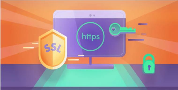 Really Simple SSL Pro – 简单SSL设置专业版 – v5.4.0