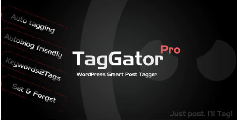 TagGator Pro. WordPress Auto Tagging 自动标签插件 – v2.11