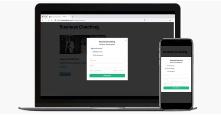 WP Simple Pay Pro 分期付款定金付款插件 – v4.4.3