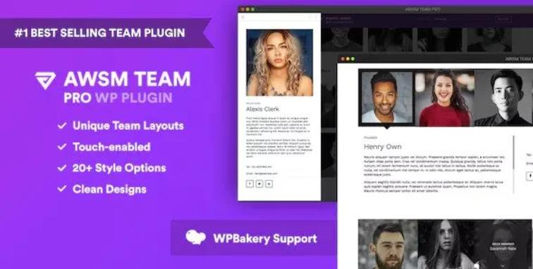The Team Pro – 团队展示WordPress插件 – v1.11.0