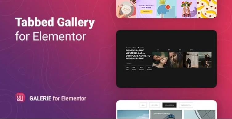 Galerie – Elementor 选项卡相册画廊插件