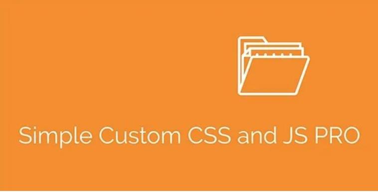 Simple Custom CSS and JS PRO – 简单自定义CSS/JS插件 – v4.26
