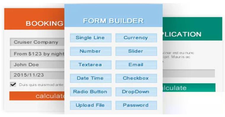 Calculated Fields Form Pro – 自定义表单计算价格插件 – v5.1.130