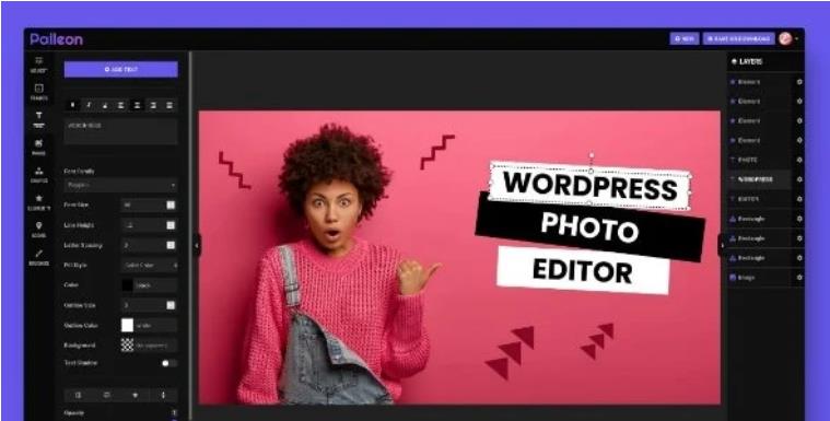 Palleon – WordPress 图像剪切旋转编辑插件 – v2.3