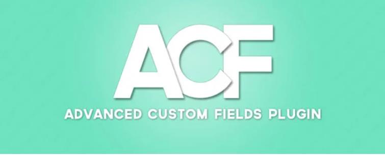 Advanced Custom Fields Pro – 高级自定义字段专业版WordPress插件 – v6.0.6