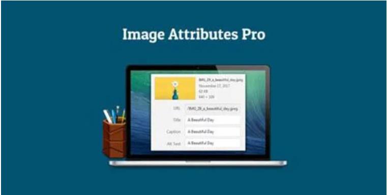 Auto Image Attributes Pro – 媒体库批量添加图像标题描述WordPress插件 – v3.2