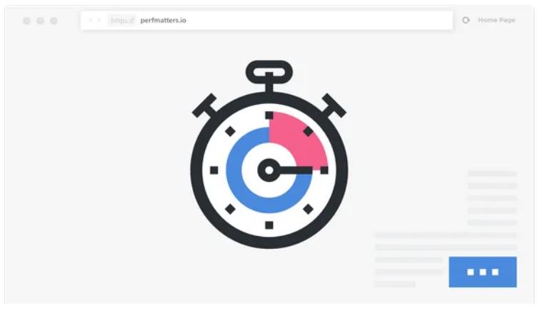 Perfmatters – 轻量级性能优化加速插件 – v2.0.1