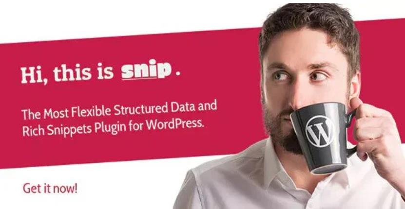 SNIP – 结构化数据WordPress插件 – v2.30.2