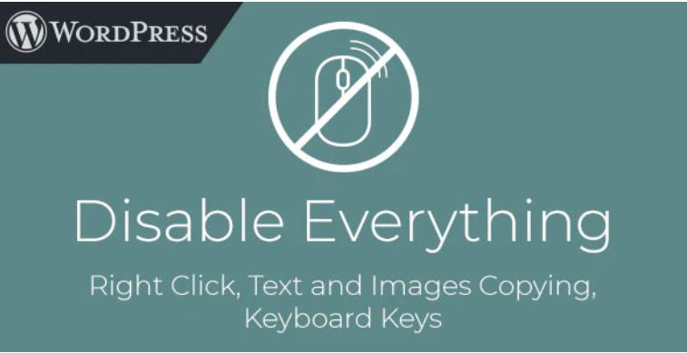 Disable Everything – 禁用鼠标右键单击复制键盘WordPress插件