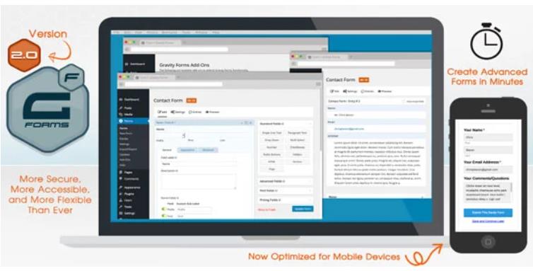 Gravity Forms 重力表单插件 – v2.6.8.4