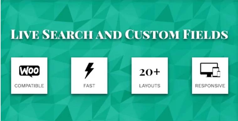 Live Search and Custom Fields 实时自定义字段搜索插件 – v2.7.2
