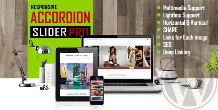 Accordion Slider PRO – 手风琴图像视频WordPress插件 – v1.0.2.2