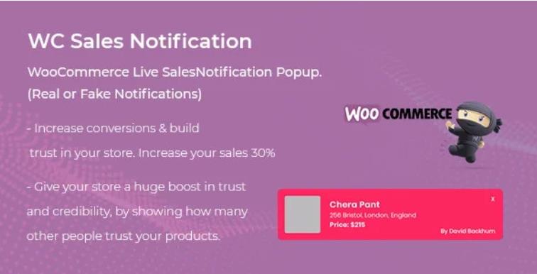 WooCommerce Live Sales Notification Pro 模拟商品销售通知插件 – v1.0.1