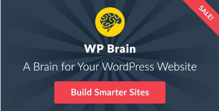 WP Brain – 网站大脑WordPress插件 – v1.3.6