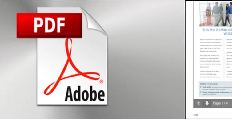 PDF Embedder Premium 网站插入PDF文档插件 – v4.4.1