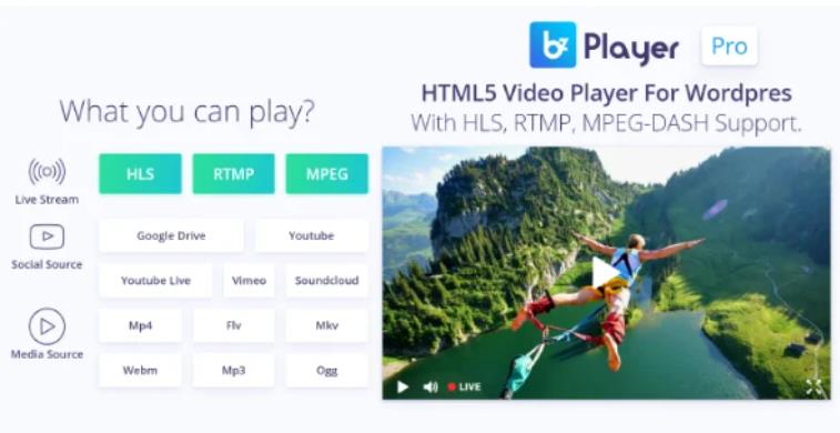 bzplayer Pro – 响应式多功能播放器WordPress插件 – v2.1