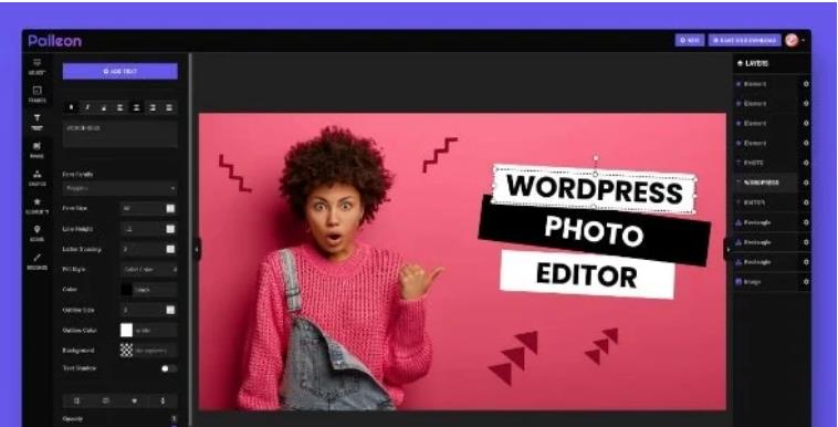 Palleon – WordPress 图像剪切旋转编辑插件 – v2.4.3