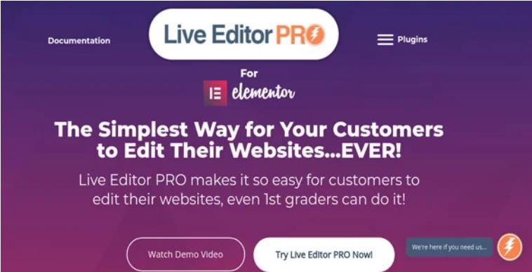 Live Editor PRO For Elementor 快速开始编辑器扩展插件 – v1.4.0