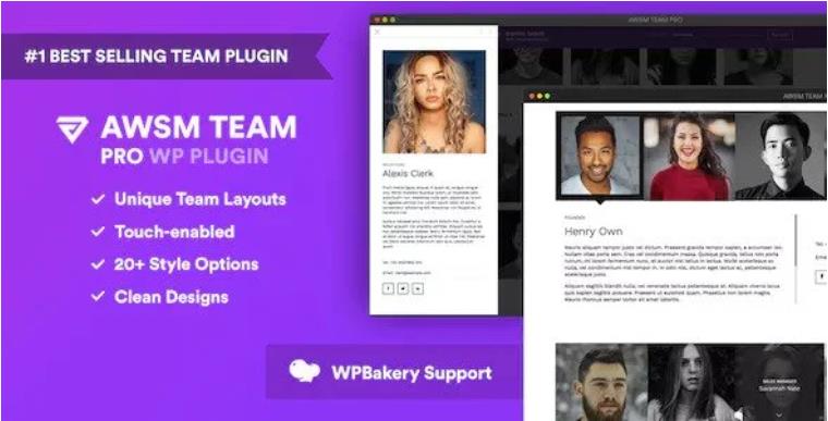 The Team Pro – 团队展示WordPress插件 – v1.11.1