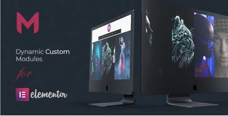 Modulify – Elementor 编辑器模块插件 – v1.3