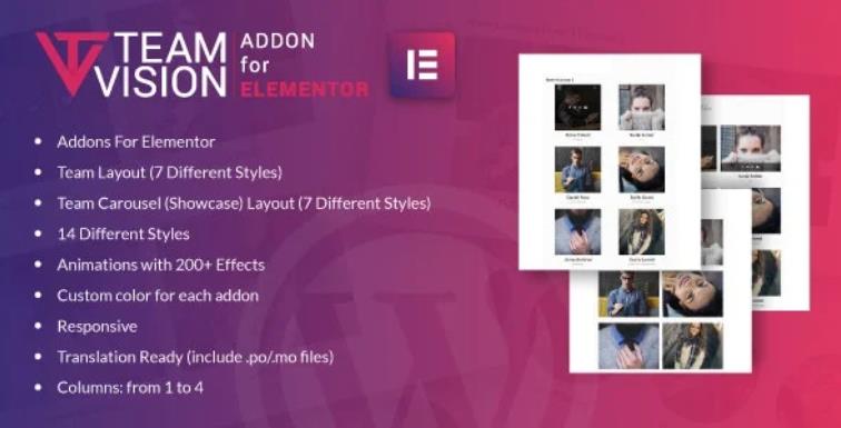 Teamvision for Elementor – 团队布局WordPress插件