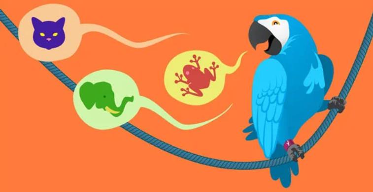 WPML Yoast SEO Multilingual 多语言SEO优化插件 – v1.0.1