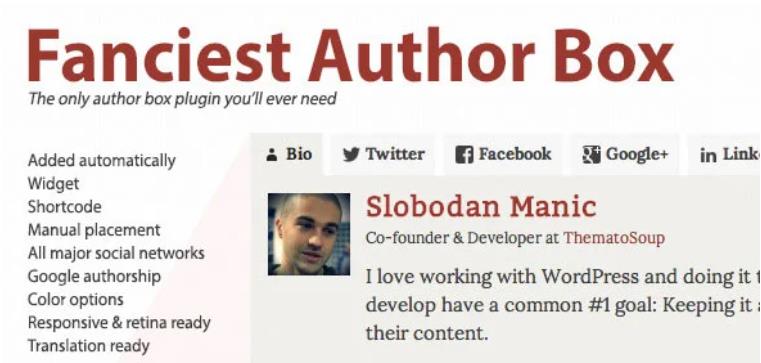 Fanciest Author Box 博客作者插件 – v2.3