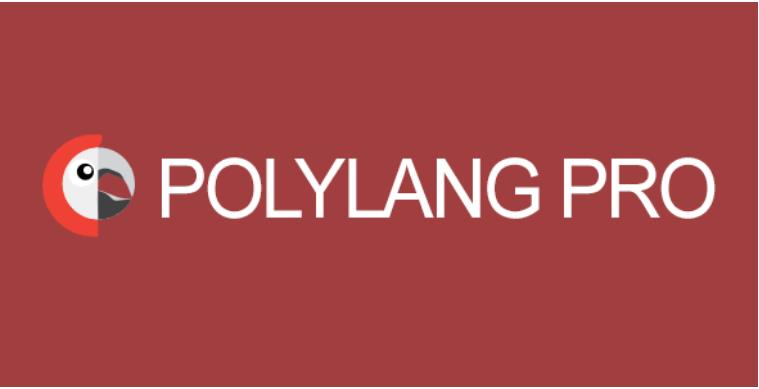 Polylang Pro – 多语言翻译插件 – v3.3.2