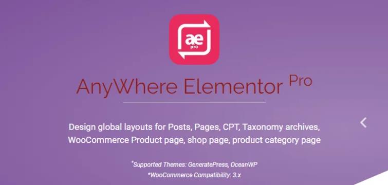 AnyWhere Elementor Pro – 全局布局编辑WordPress插件 – v2.25.6